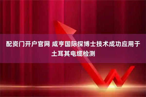 配资门开户官网 咸亨国际探博士技术成功应用于土耳其电缆检测