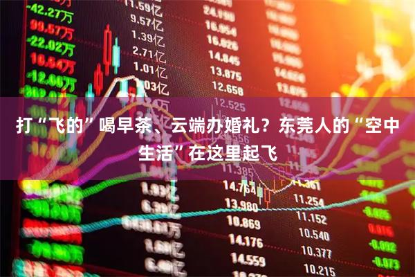 打“飞的”喝早茶、云端办婚礼？东莞人的“空中生活”在这里起飞