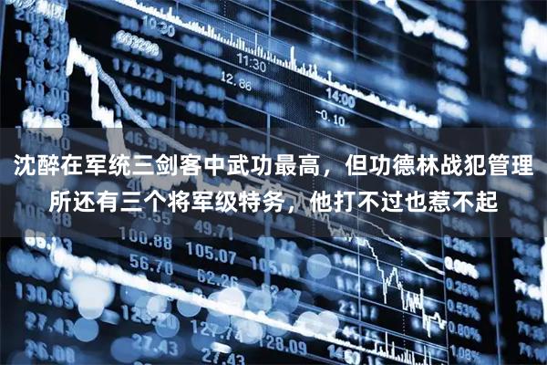 沈醉在军统三剑客中武功最高，但功德林战犯管理所还有三个将军级特务，他打不过也惹不起