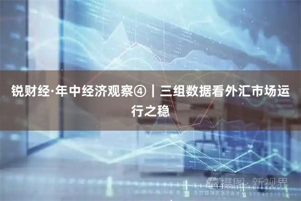 锐财经·年中经济观察④｜三组数据看外汇市场运行之稳