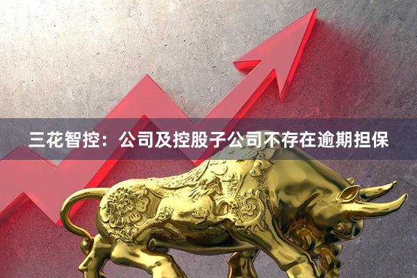 三花智控：公司及控股子公司不存在逾期担保